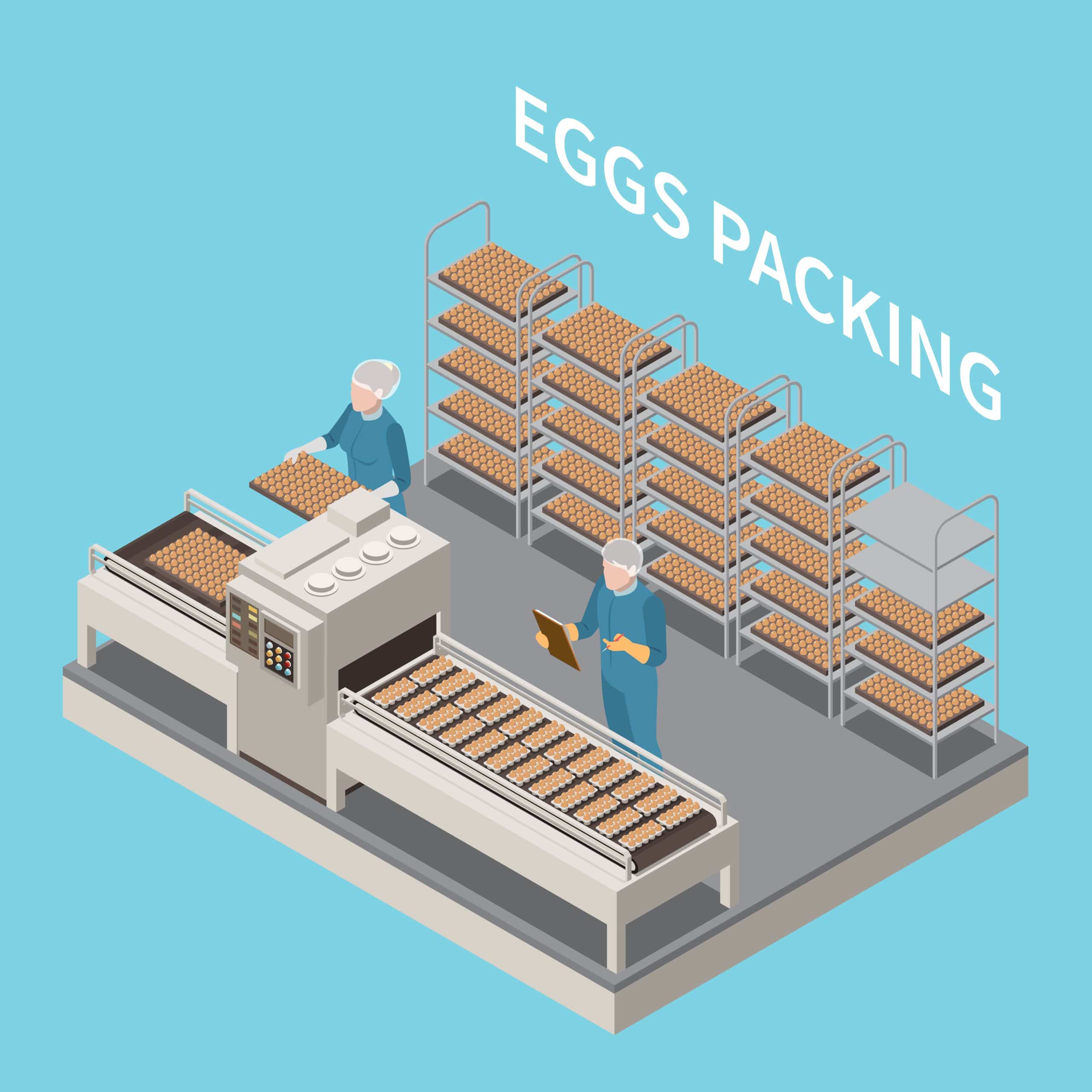 Sistemas de transporte industria alimentaria